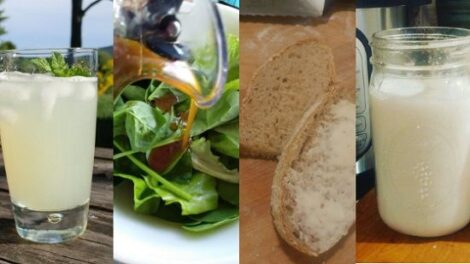 8 Things we Make at Home to Save Money, Reduce Waste, and Eat Healthier Image